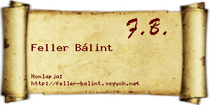Feller Bálint névjegykártya